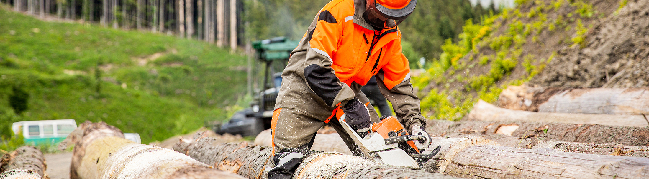 Chainsaw-Wielding Forestry Worker