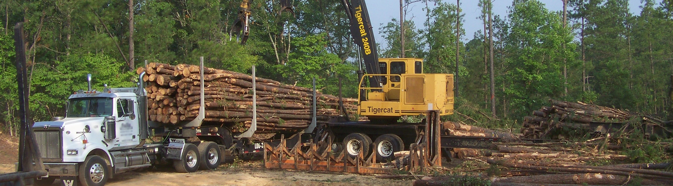 Log truck drivers operate heavy trucks to transport logs